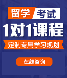 男的用小鸡鸡插入女人的逼留学考试一对一精品课